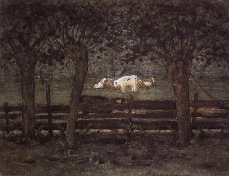Piet Mondrian White cow china oil painting image